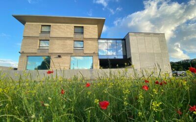 Les bons plans de l&rsquo;été à la Bibliothèque du Gazomètre