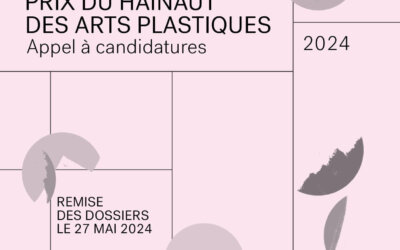 Appel pour le Prix du Hainaut des Arts plastiques 2024