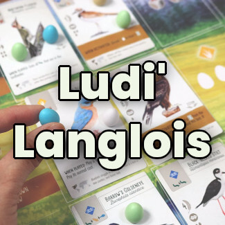 Ludi’ Langlois : Soirée jeux en famille