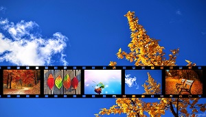 Cinéma en liberté – automne