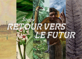 Stage : Retour vers le futur