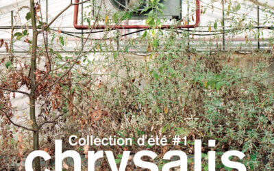 La collection s’expose aussi en ligne